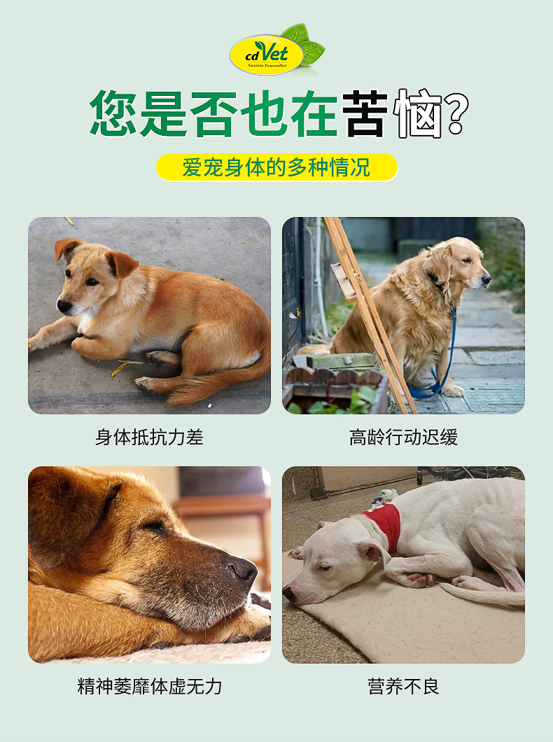 高龄犬营养粉_02.jpg