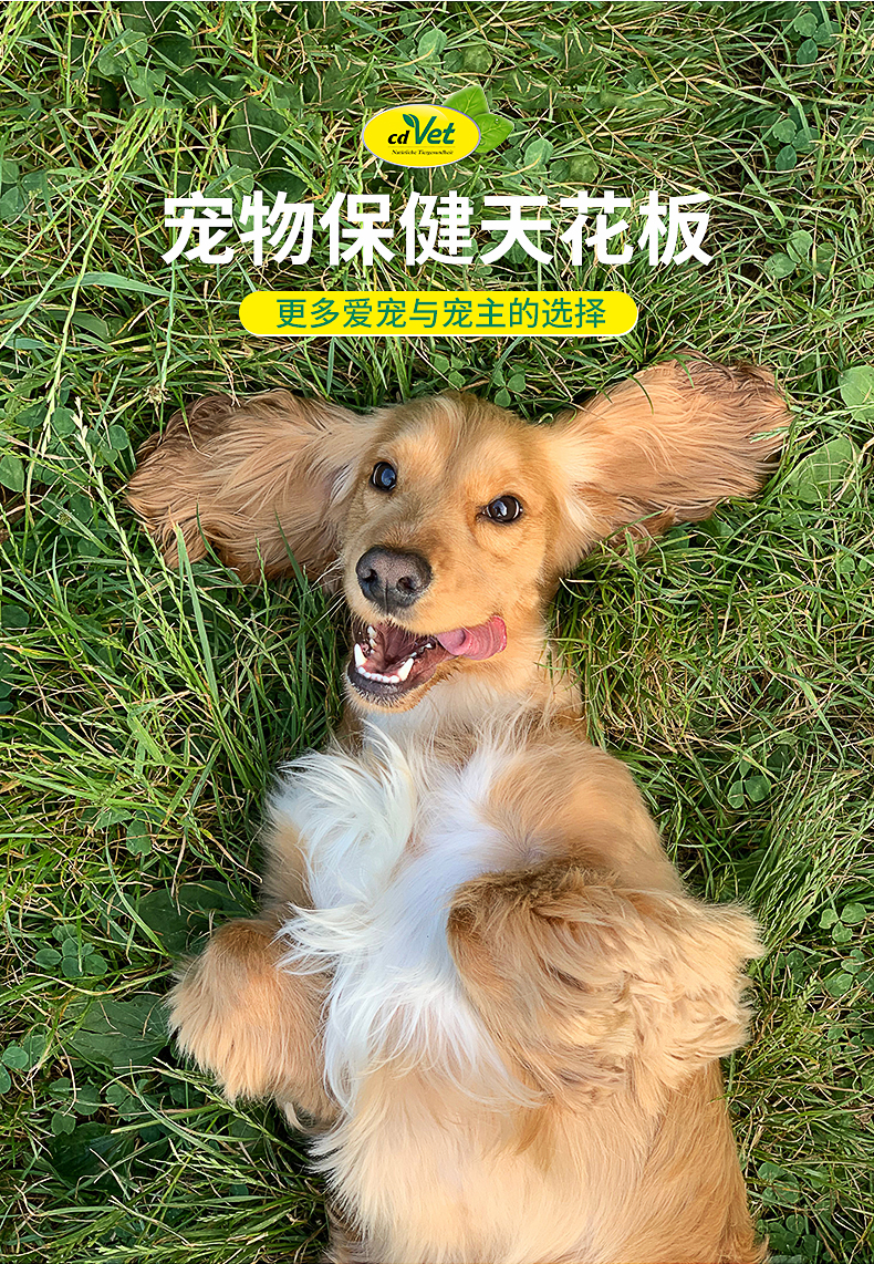 高龄犬营养粉_06.jpg