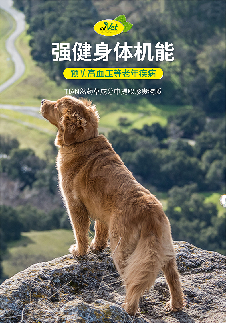 高龄犬营养粉_09.jpg