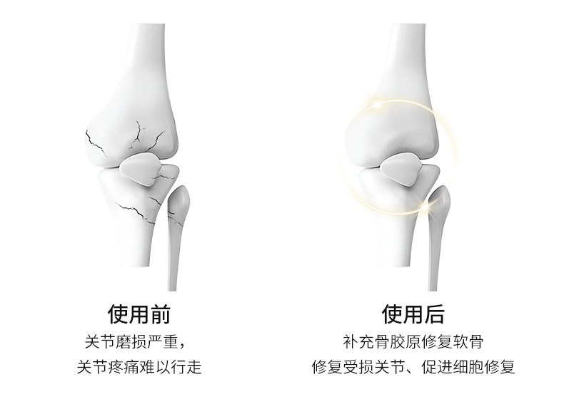 强效关节粉_05.jpg