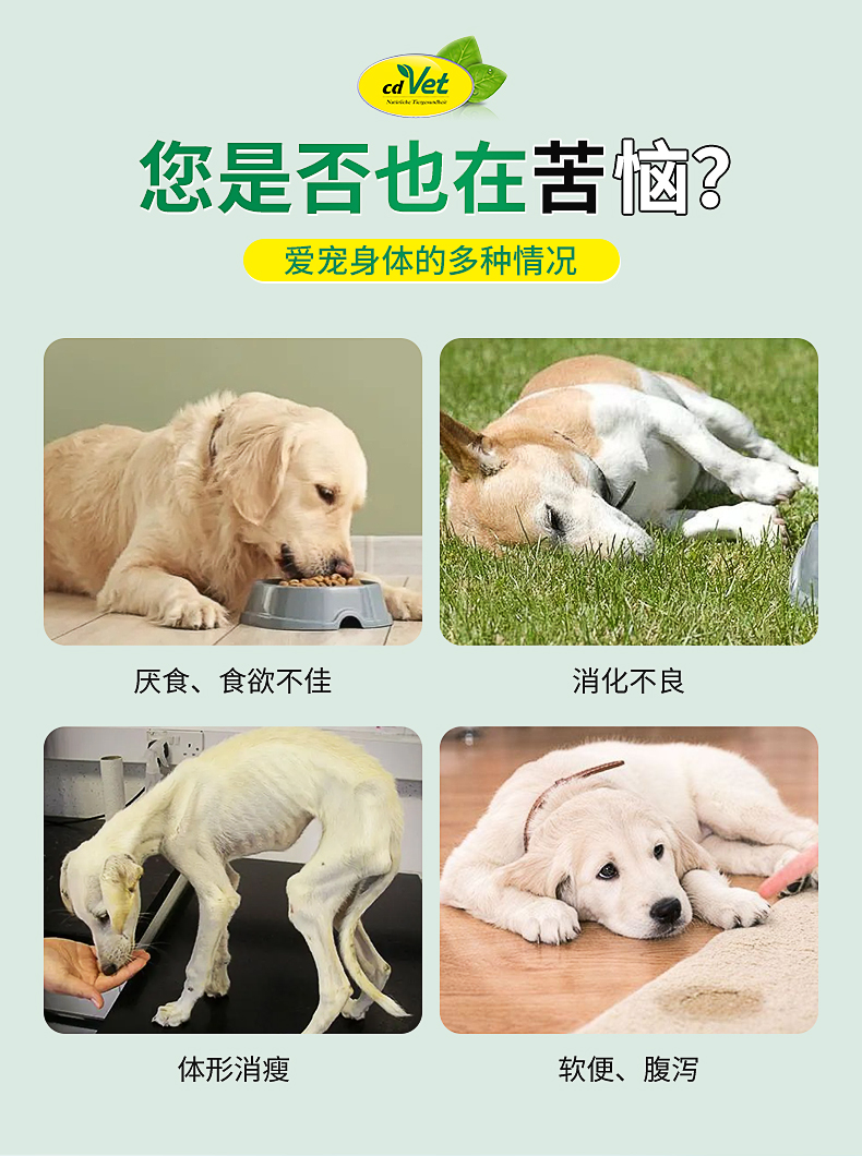 肠清营养剂（犬）_02.jpg