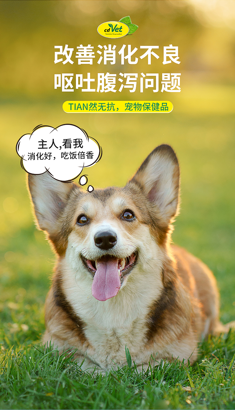 肠清营养剂（犬）_03.jpg