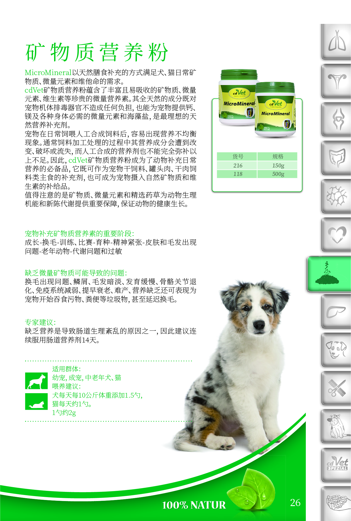 犬&猫12-8_页面_29.jpg